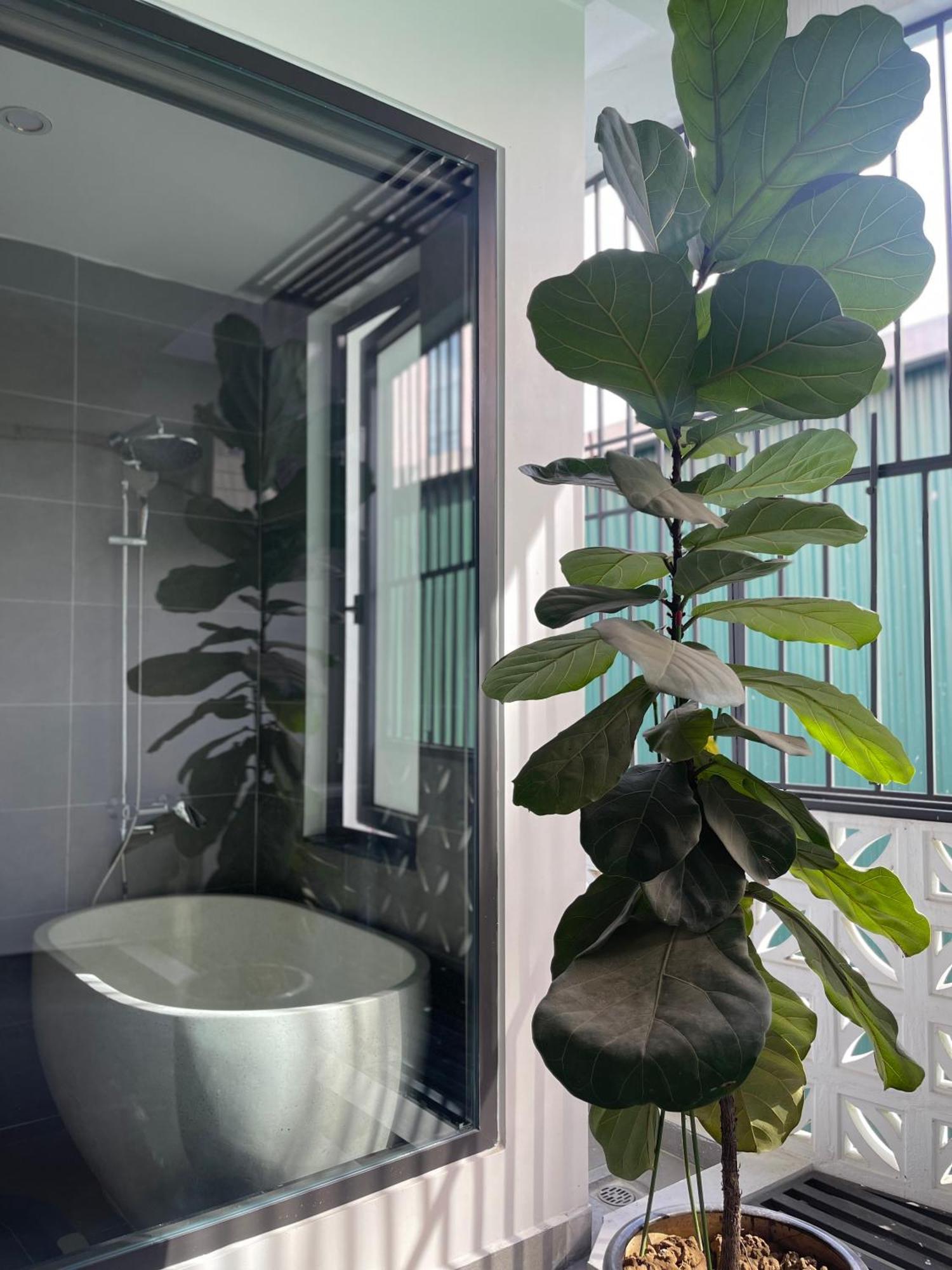 Alala Homestay- Tuyen Quang City Center- Trung Tam Thanh Pho Tuyen Quang Exteriör bild